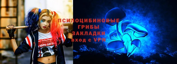 соль ск Ладушкин