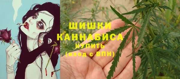 соль ск Ладушкин