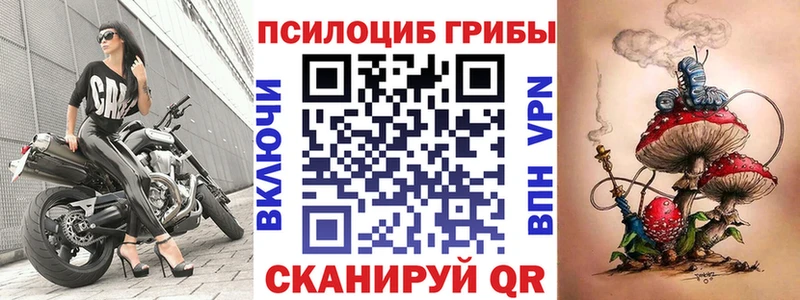 Псилоцибиновые грибы Psilocybine cubensis  Купить где  Нарьян-Мар 